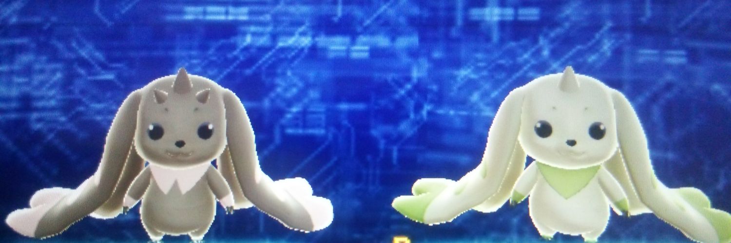flanreit's profile banner image