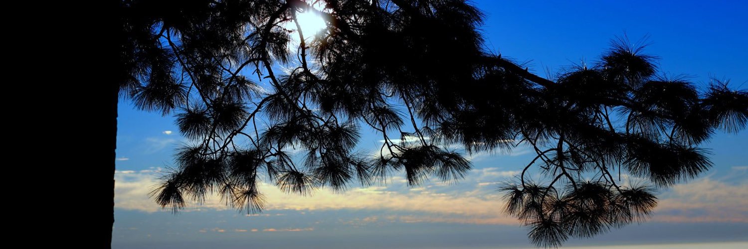 ArmanPcc's profile banner image