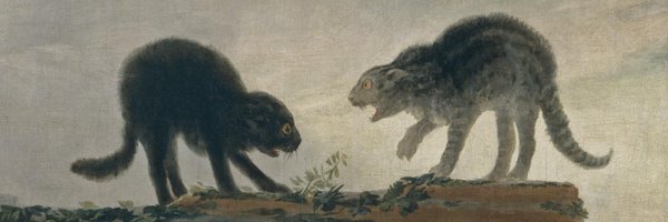 goyatomoo Profile Banner