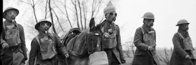 Lost wanderer banner