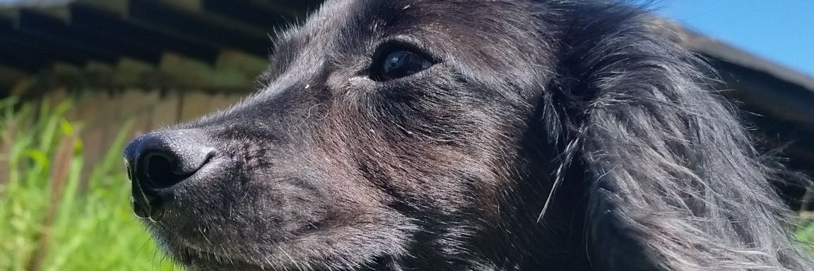 edisson30's profile banner image