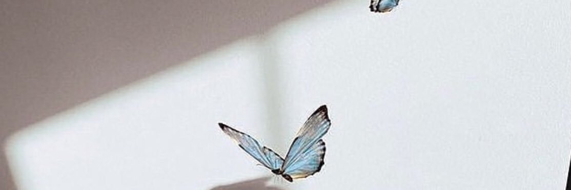 ريما banner