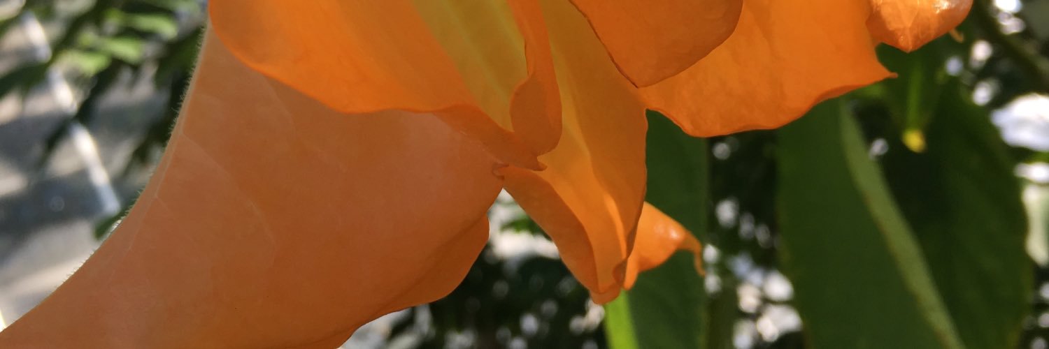 katrinawbeck's profile banner image