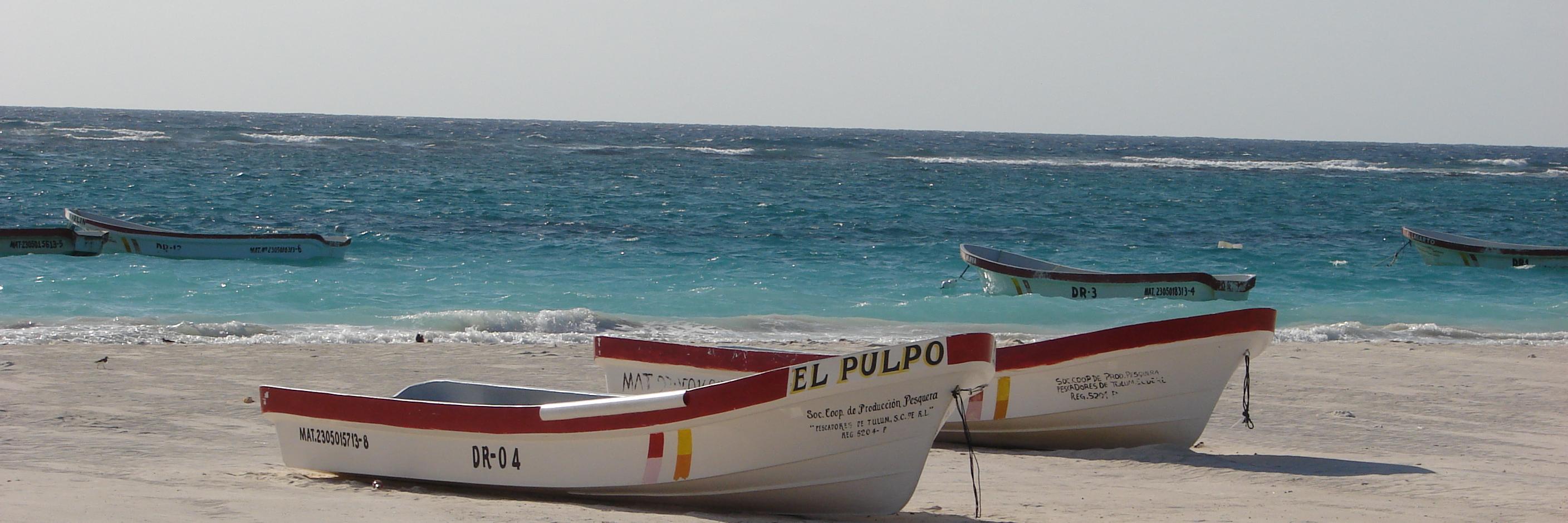 EliBornes's profile banner image
