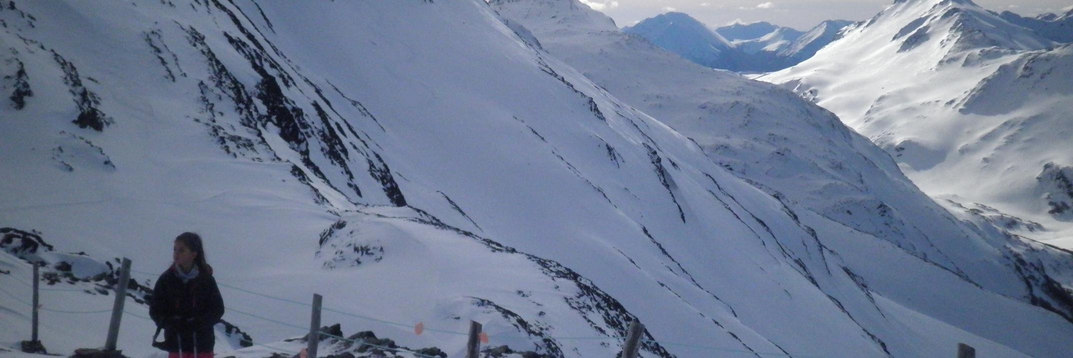 guillermoliva's profile banner image