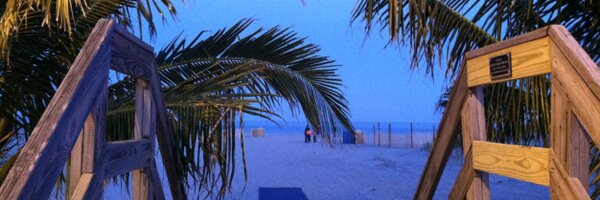 PainesReason Profile Banner