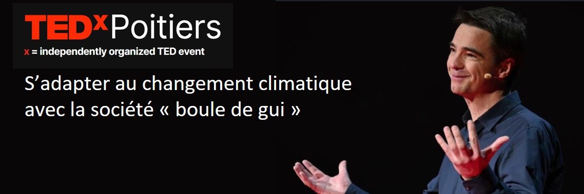 Dimitri Carbonnelle banner