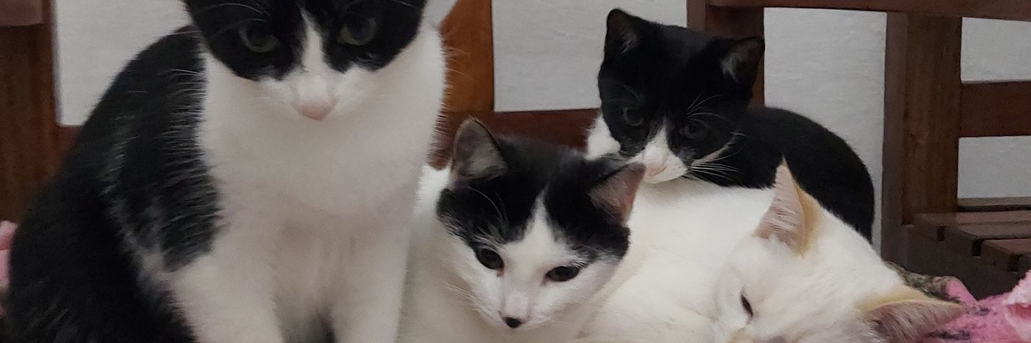 sspacecat_'s profile banner image