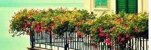me banner