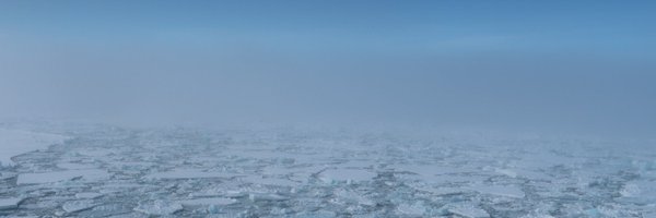 CATCH_science Profile Banner