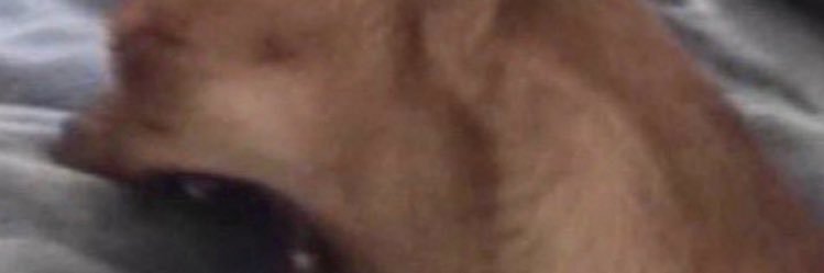 problematicams's profile banner image