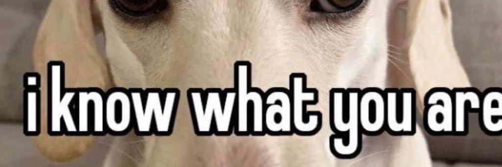 BasedBiko's profile banner image