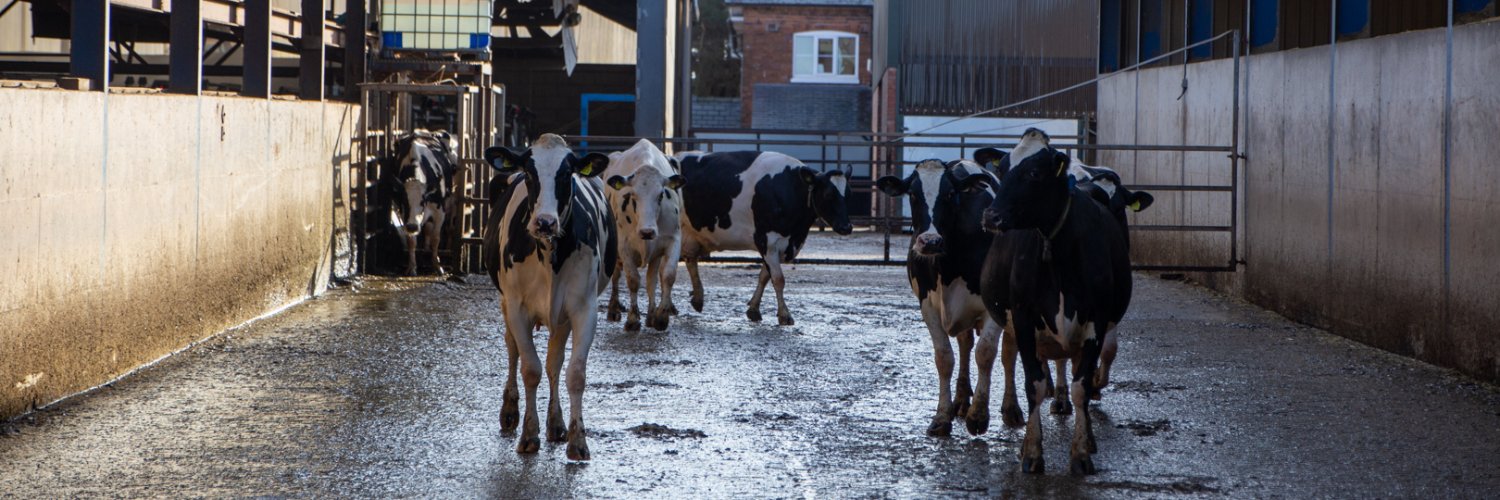 Peacock Technology banner
