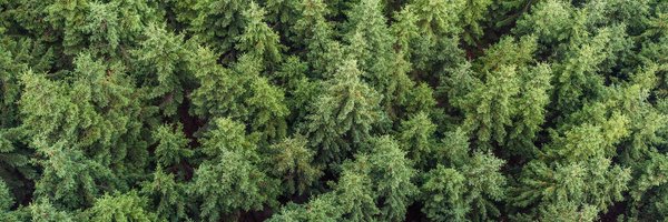 TerrainAI Profile Banner