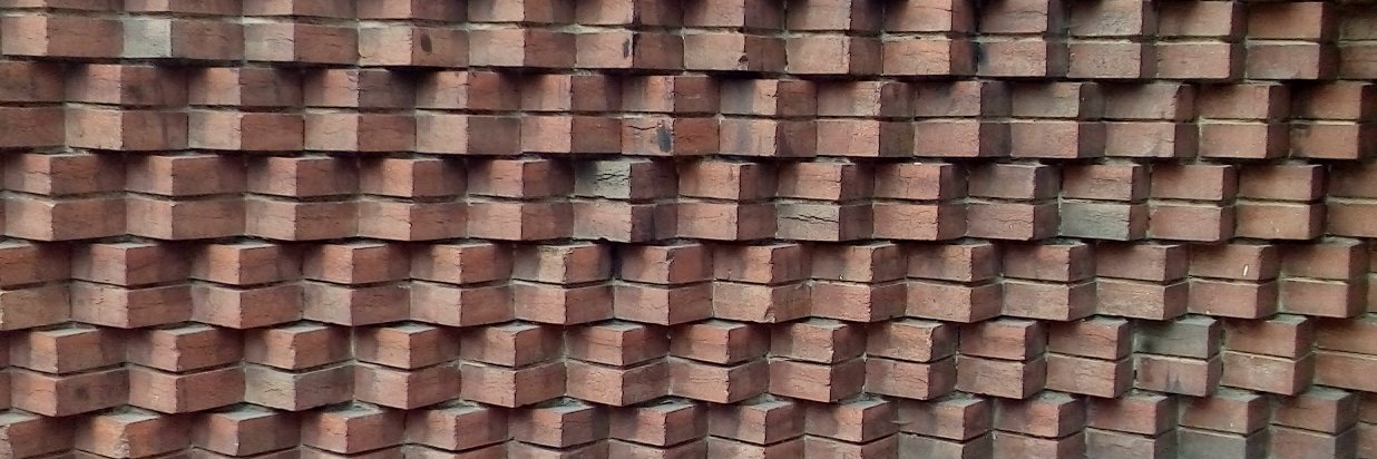 Javier Irenarco P. banner