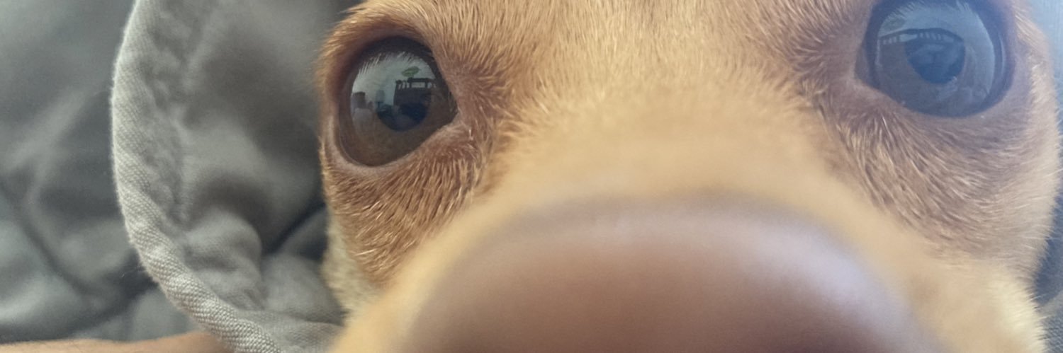abelfernandezj's profile banner image