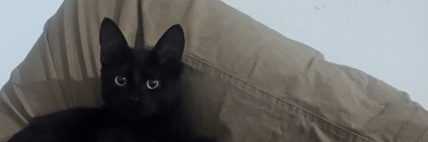adoraorange's profile banner image
