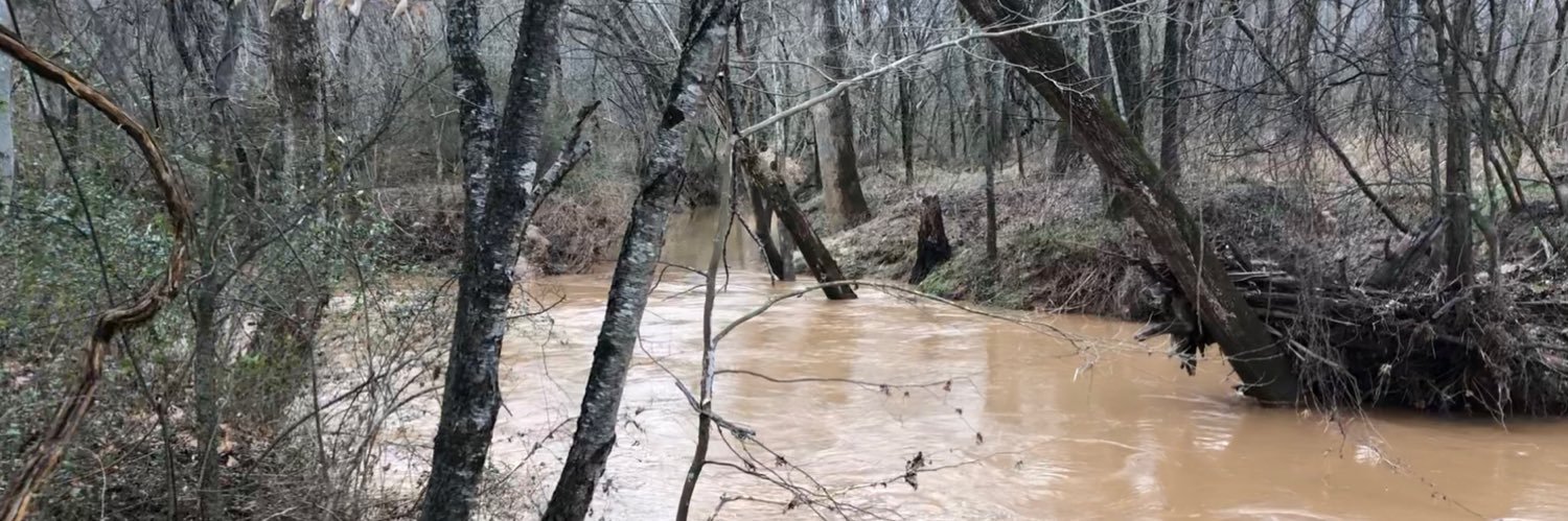 The Foundation Chain banner