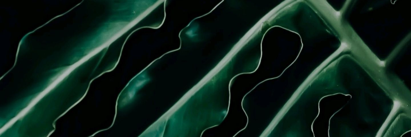 JosePabloGap's profile banner image