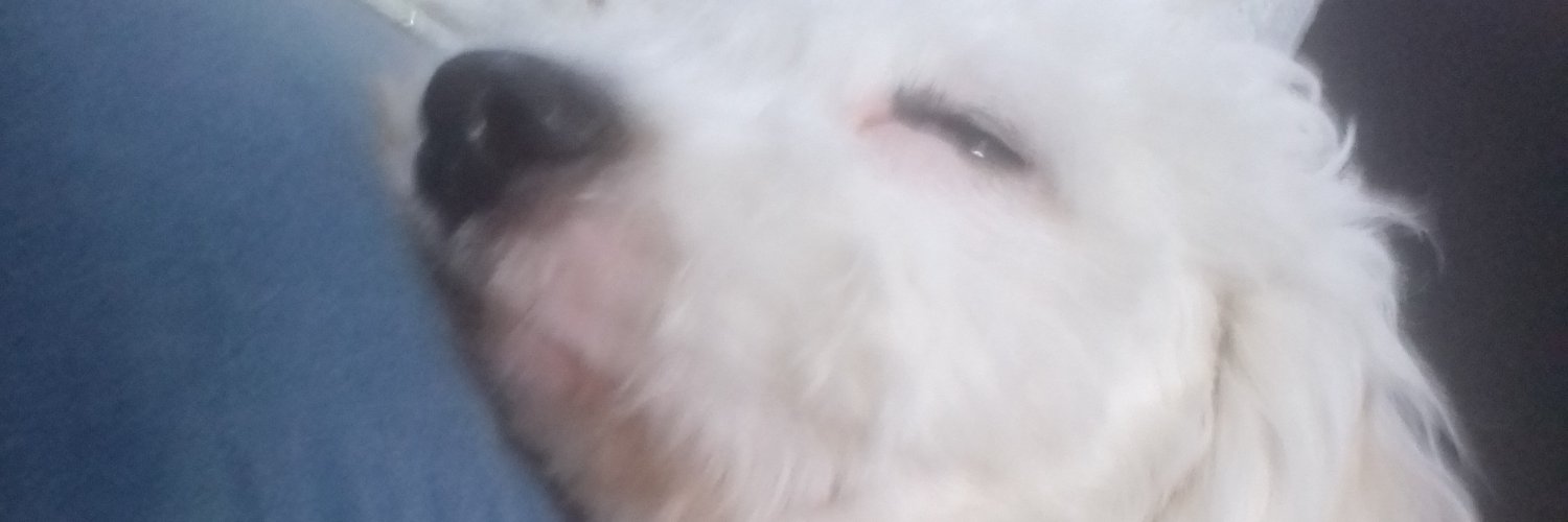 coolmadness99's profile banner image