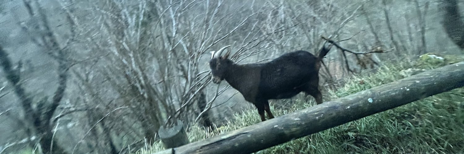 goatsson7's profile banner image