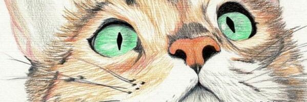 soldeabril's profile banner image