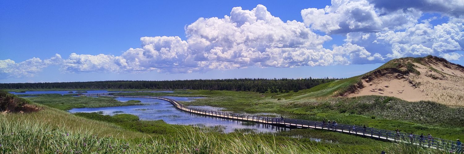 Elisabeth Mercier banner