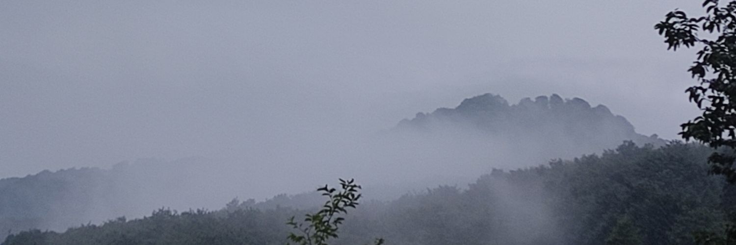 tabooghesag's profile banner image