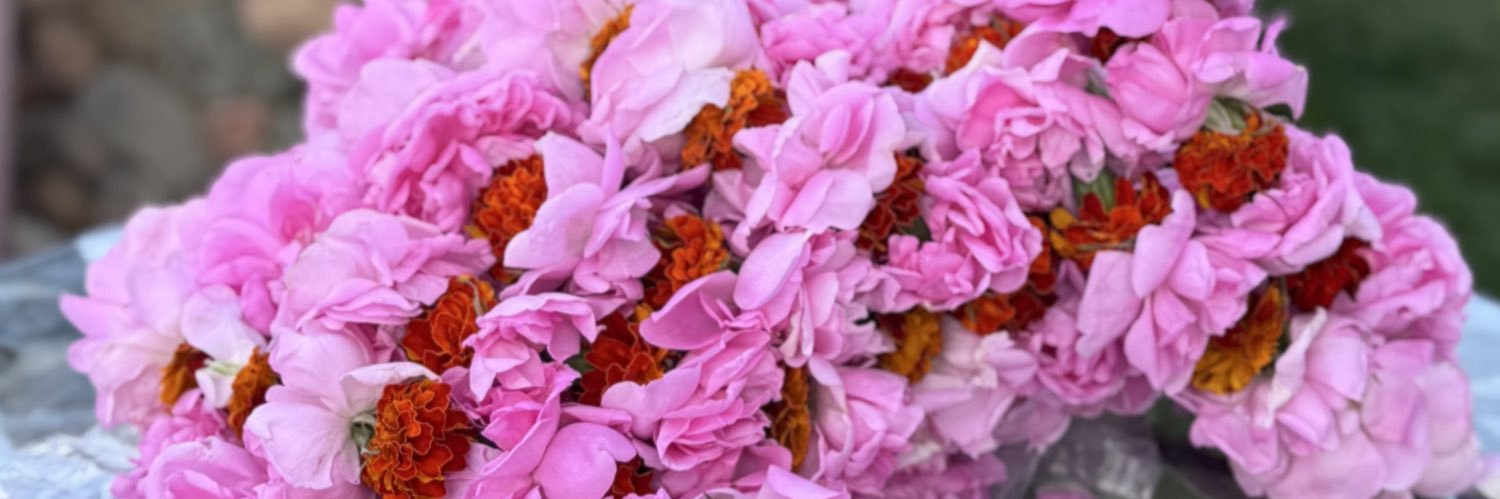 منصور الزايدي banner