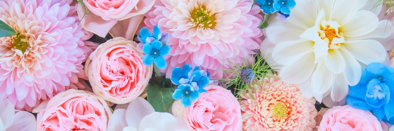 evemistletoe's profile banner image