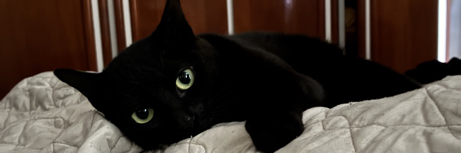 Pavones_'s profile banner image