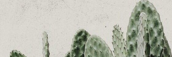 daniel__cazares's profile banner image