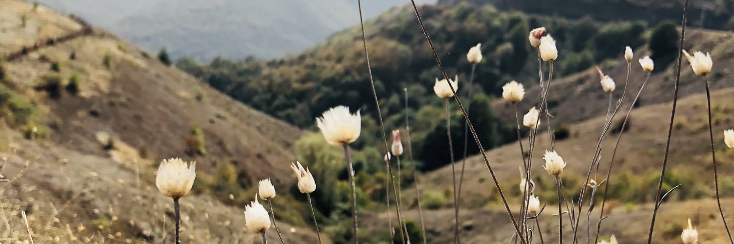 bgdsmrg's profile banner image