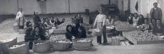 Centre d'Estudis Antropològics ACAF banner