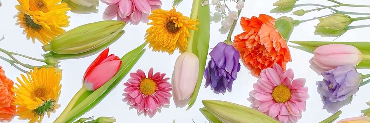 _gabbycortes's profile banner image