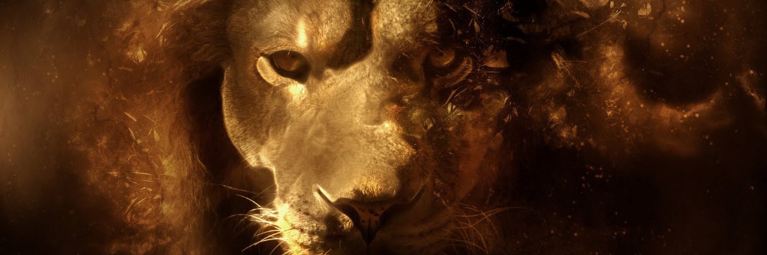 Hoodah's profile banner image