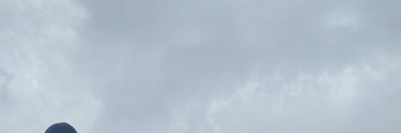 nixiedustt's profile banner image