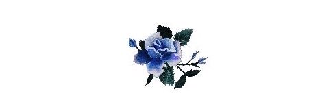 xqvczi's profile banner image