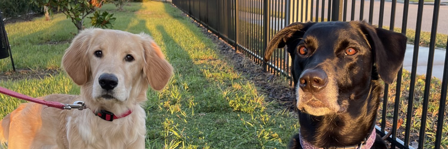 travissmithh's profile banner image