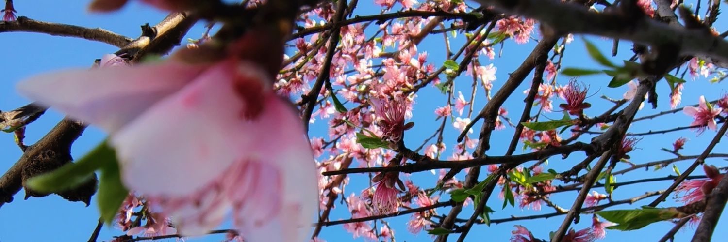 mariayque's profile banner image