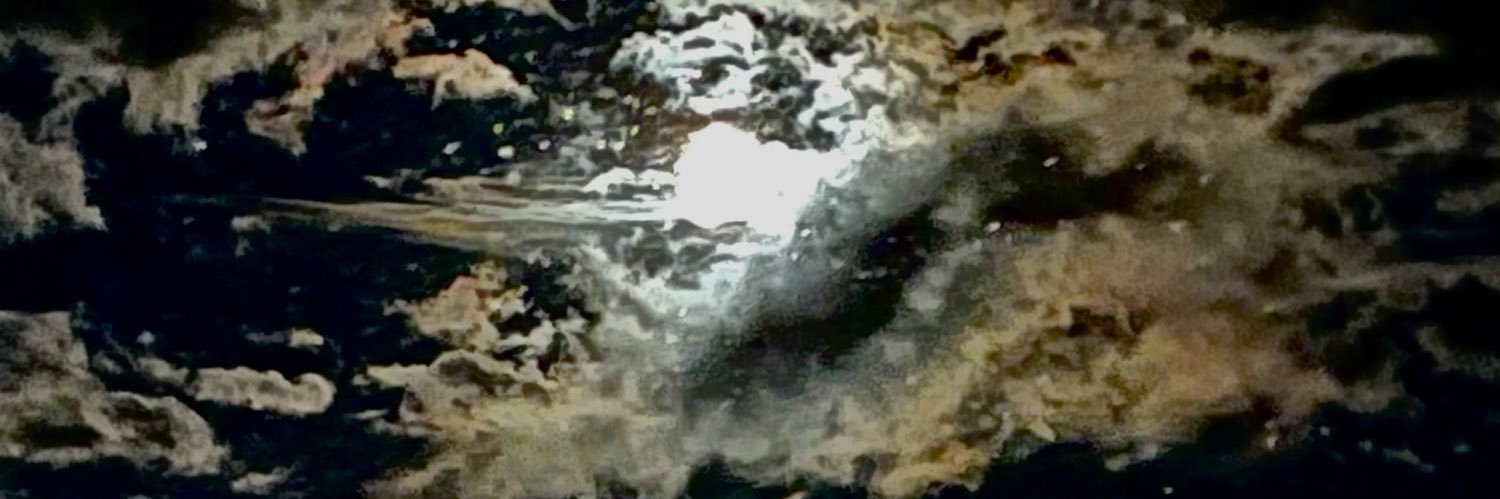 Tarmyna's profile banner image