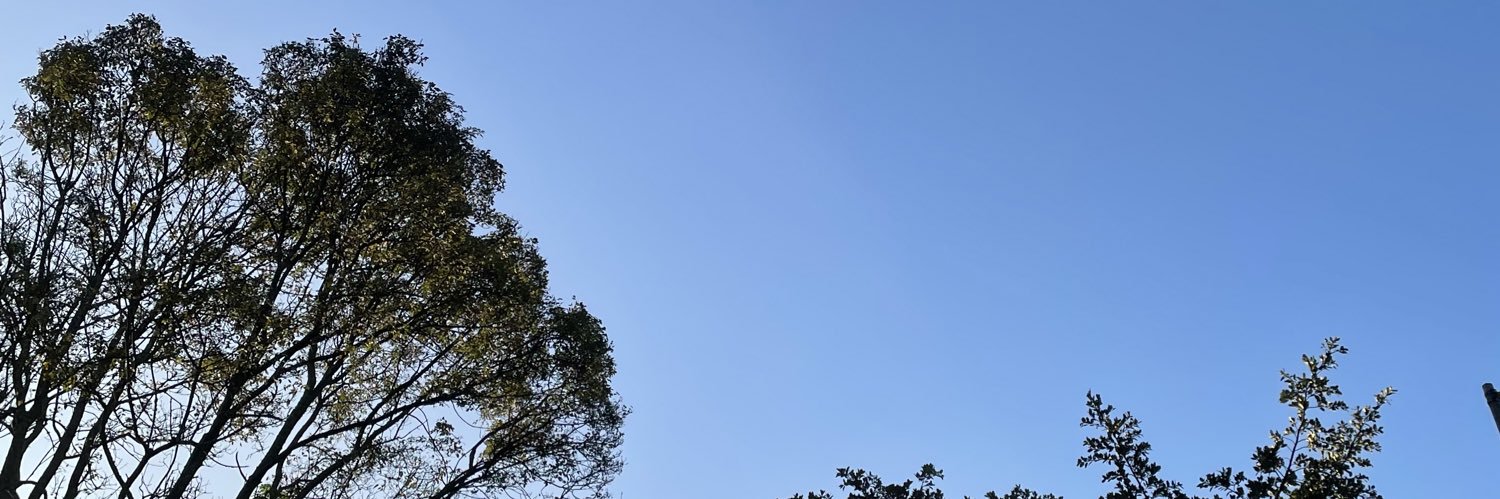 jjsinvendas's profile banner image