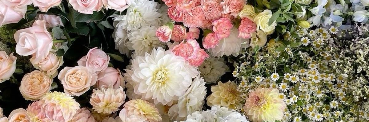 cass ❀ banner