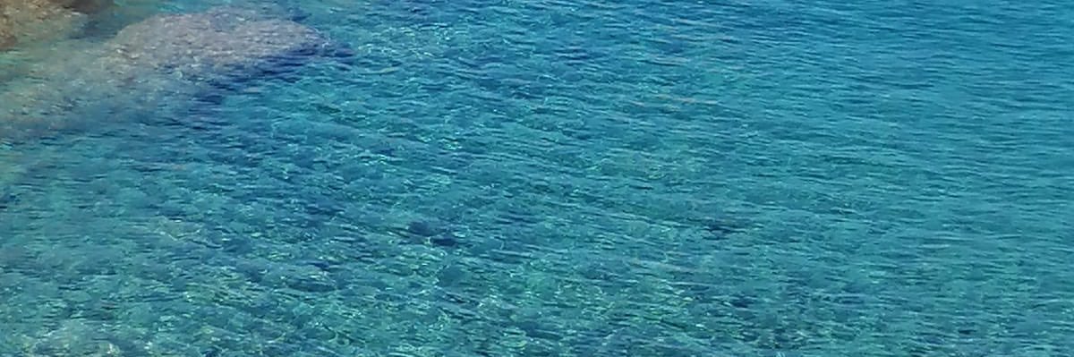 bibi_bibo2002's profile banner image