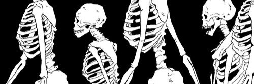 dashavg's profile banner image