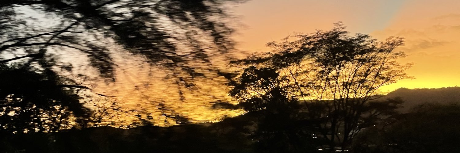 vaaleennn's profile banner image