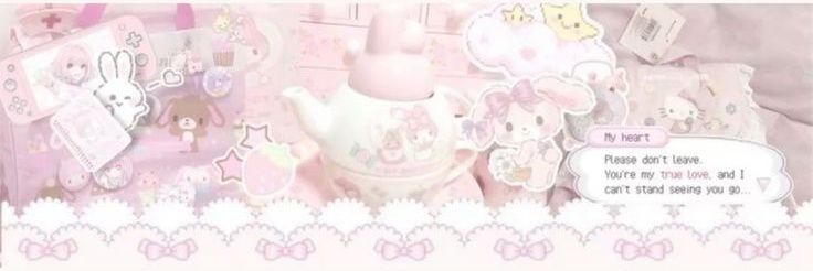 aimes banner