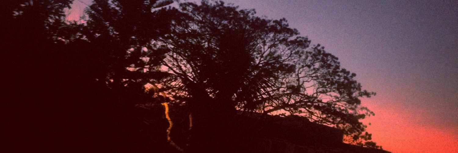 keviniemi's profile banner image