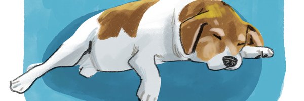 n9sab_ Profile Banner