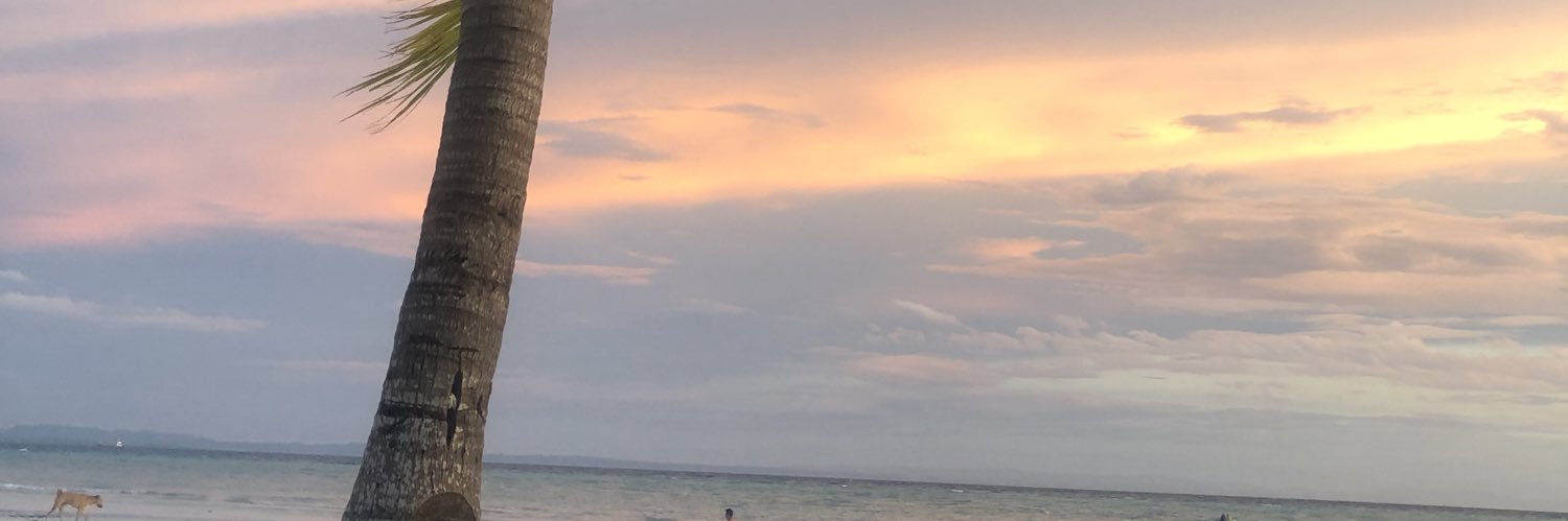 bbmriane's profile banner image